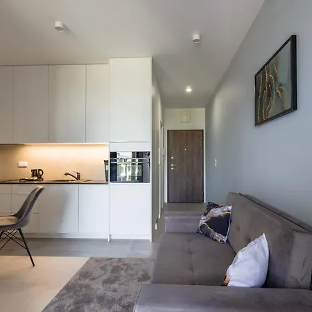 Central House Apartment *