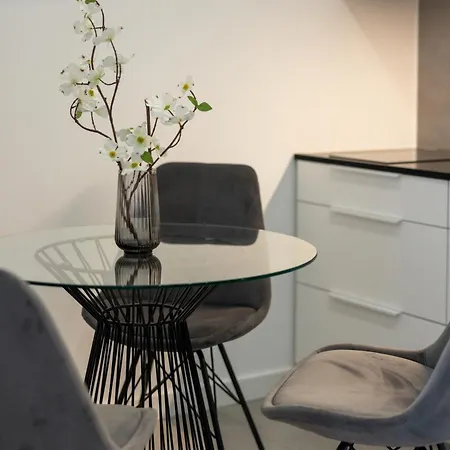 Central House Apartment